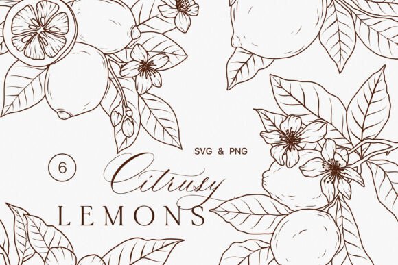 Download Lemon Fruits Line Art Clipart SVG - Lime - Svg Collection