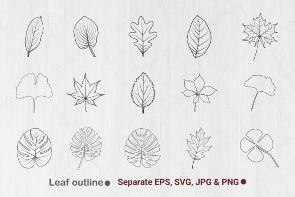 Download Leaf Outline, Leaves Line Art, Leaf Svg - Svg Collection