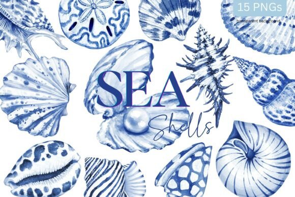 Download Sea Shells Toile Blue Watercolor Coastal - Premium Bundle