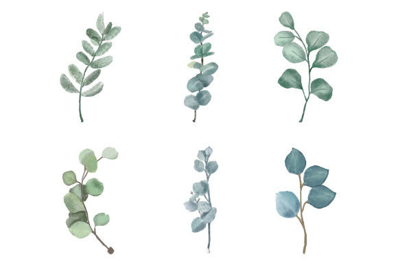 Download Watercolor Eucalyptus Clipart SVG PNG - Svg Collection