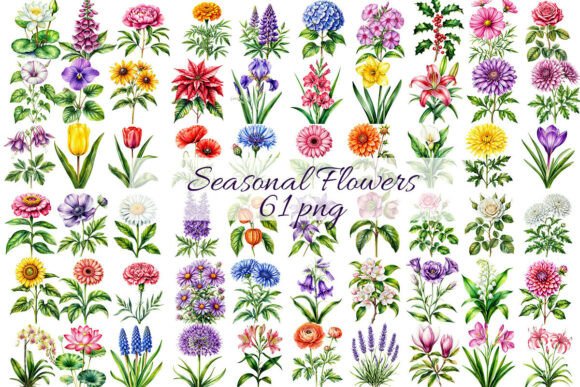 Download 61 Seasonal Flowers by Birth Month. - Sea Collection
